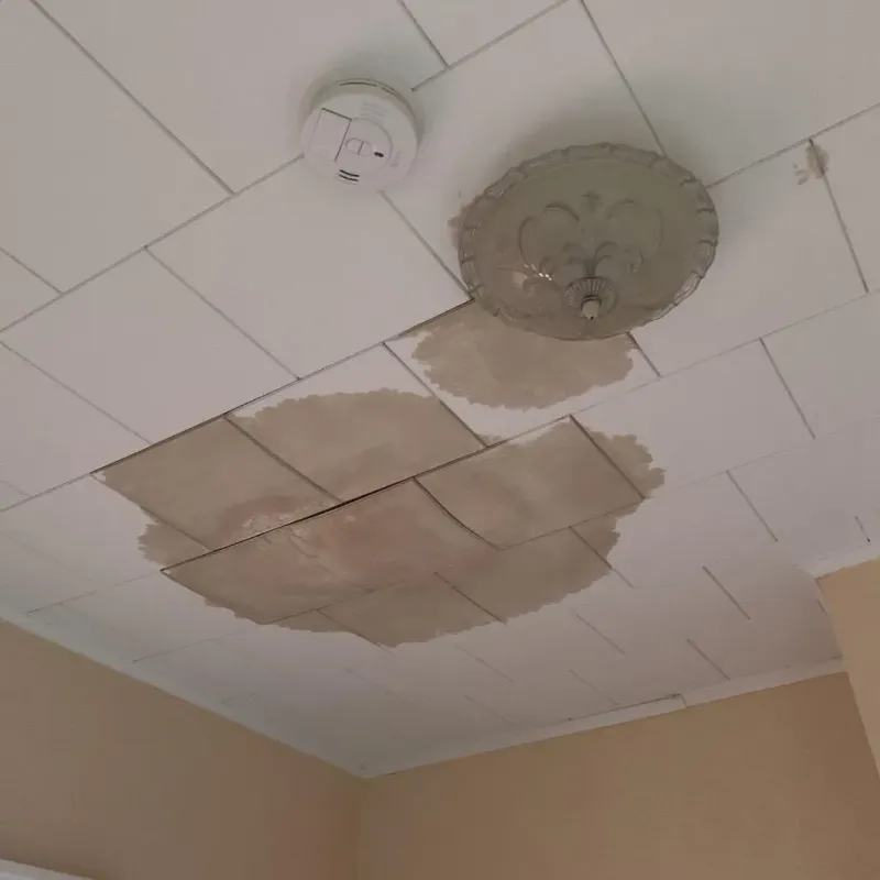 Ceiling Water Damage Repair in Wadsworth, IL