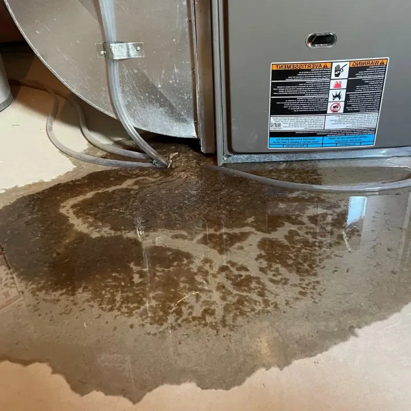 Pipe Burst and Leak Restoration in Wadsworth, IL